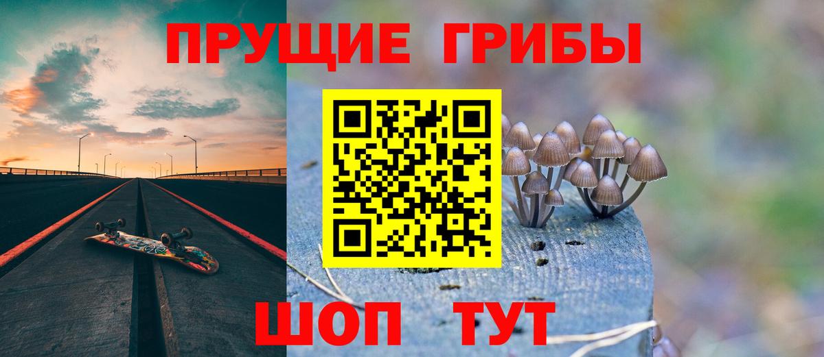 наркотики  Вход с VPN  Галлюциногенные грибы Psilocybe  Новоуральск  Псилоцибиновые грибы прущие грибы 